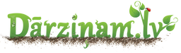 darzinam.lv darzinam.lv